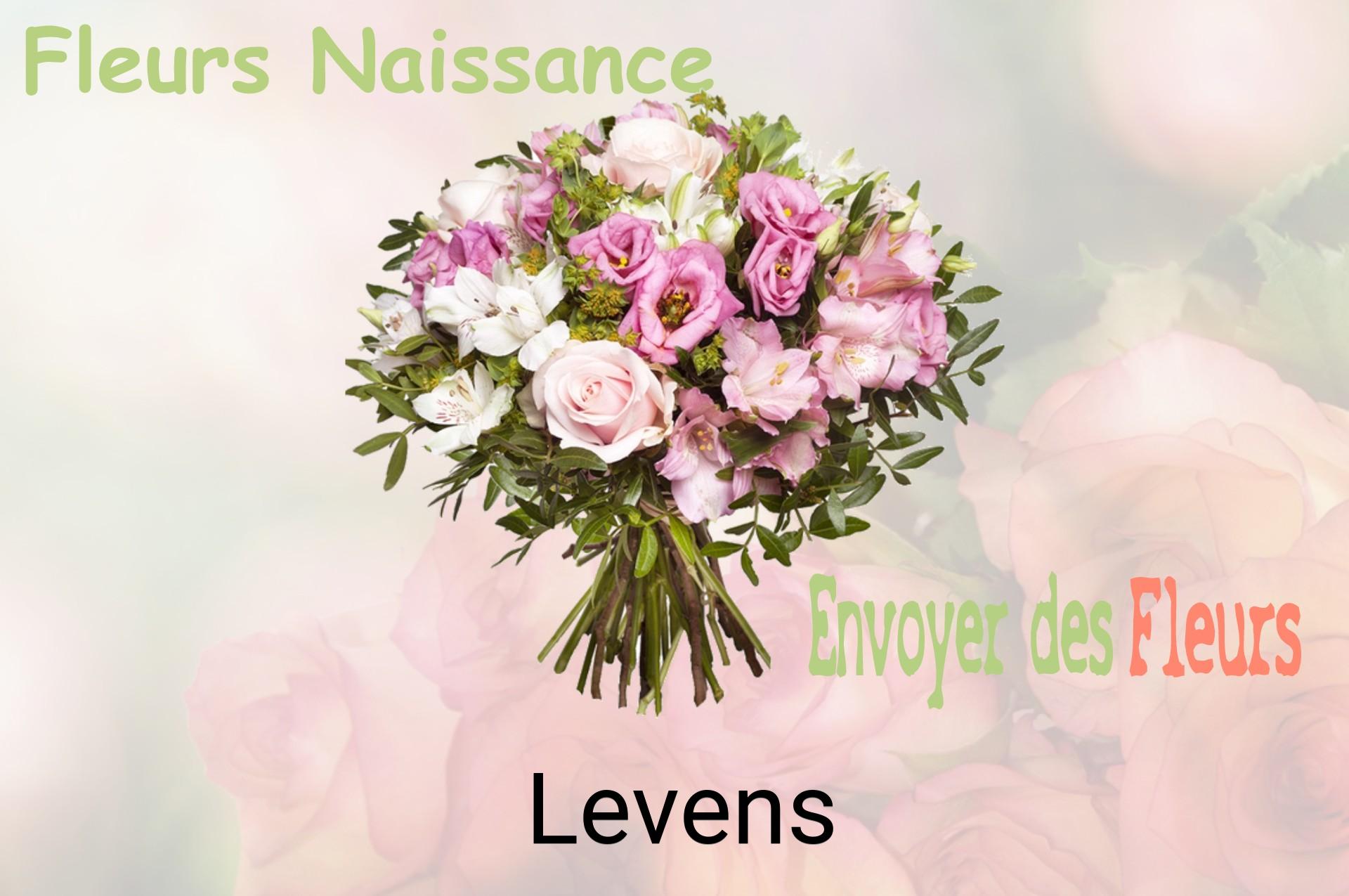 Bouquet de fleurs de naissance livré à Levens